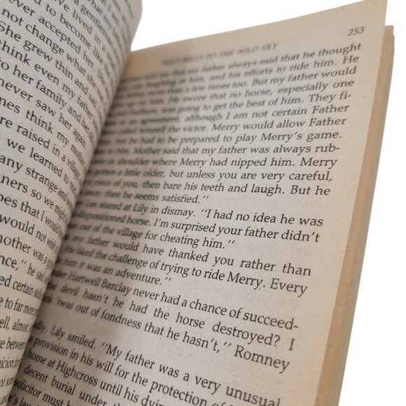 Wind Bells to the Wild Sky by Laurie McBain – 1988 Vintage Paperback - Picture 8 of 13